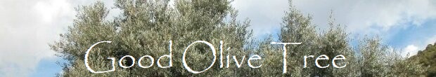 Good Olive Tree 